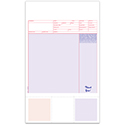 Laser Service Invoices with Coupons - LZR-SI-14 - Qty. 250