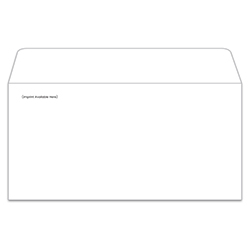 License Plate Envelope, IMPRINTED - LPEV-1 Moist & Seal - White - Qty. 1 ea