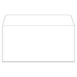 License Plate Envelope - LPEV-1 - Moist & Seal - White - Qty. 100