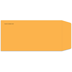 License Plate Envelope, IMPRINTED - LPEV-1 - Self Seal - Qty.  1 each